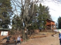 DSCF2052.JPG