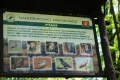 IMG_8051.JPG