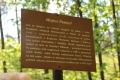 IMG_8097.JPG