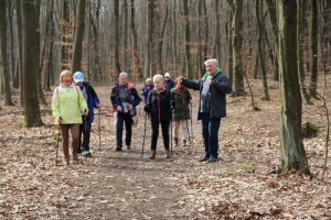 nordic walking: Puszcza Niepołomicka'19