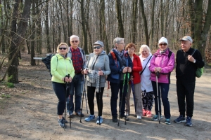 nordic walking: Puszcza  Niepołomicka