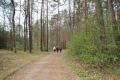 IMG_0538.JPG