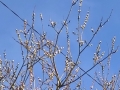 WP_20150310_11_16_06_Pro.jpg