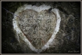 IMG_2548 A.JPG