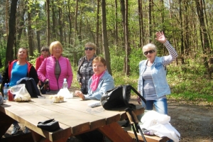Nordic walking: wiosna w puszczy 23.04.15
