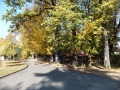 DSCF5727.JPG