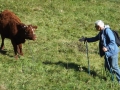 DSCF5732.JPG