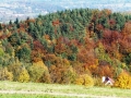 DSCF5743.JPG