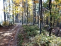 DSCF5758.JPG