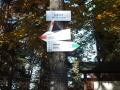 DSCF5767.JPG