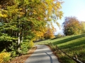 DSCF5783.JPG