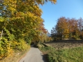 DSCF5784.JPG