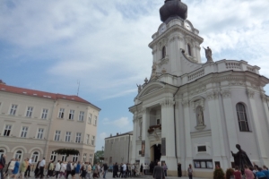 Piechurki: Wadowice