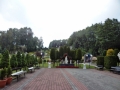 DSC02569.JPG
