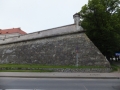 DSCF2372.JPG