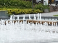DSCF2382.JPG