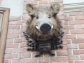 DSCF2509.JPG