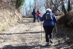 Śnieżnica'17 - nordic walking