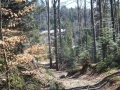 DSCF1932.JPG