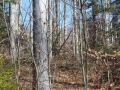 DSCF1939.JPG