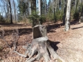 DSCF1945.JPG