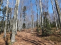 DSCF1950.JPG