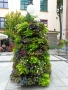 IMG_20210720_164410.jpg