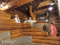 IMG_20210818_070743.jpg