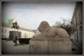 IMG_3284.JPG