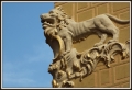 IMG_3872. aJPG.jpg