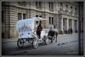 IMG_2319.JPG