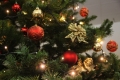 IMG_7973  AAA.jpg