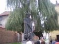IMGP0084.JPG