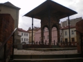 IMGP0089.JPG
