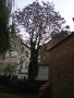 IMGP0091.JPG