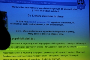 Wykład - bezpieczeństwo seniora