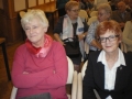 IMGP0262.JPG