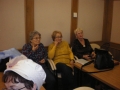 IMGP0264.JPG