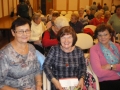 IMGP0043.JPG