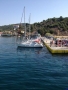 IMG_2644.jpg