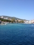 IMG_2663.jpg
