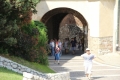 IMG_7026.JPG
