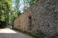 IMG_7116.JPG
