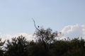 IMG_7209.JPG